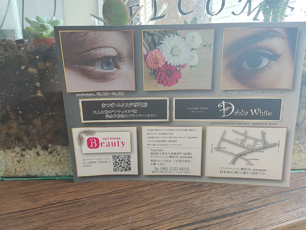 ダリア ホワイト(Dahlia White)｜ホットペッパービューティー