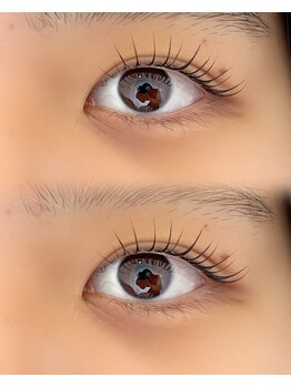 シャルフ(shalf)/