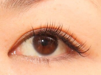 イロドリ/デザイン例