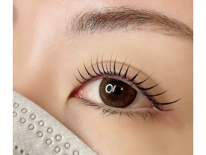 フィカス アイラッシュ(FICUS eyelash)の写真