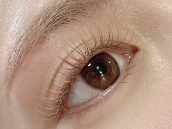 ミィ 天王寺店(MII)の写真/*eyelash salon MIIから、エクステ・カラエクメニューが新登場*!抜群のモチの良さと、仕上がりの美しさが◎