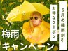 梅雨限定価格☆眉スタイリング＋眉パック　7100円→5600円(税込)　◎
