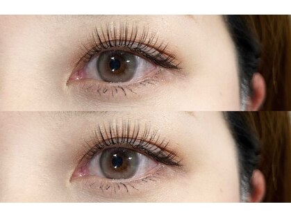 ルメル(Lumer)の写真