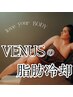 【痩身人気第１位】初めての方のお試し☆脂肪冷却【運動嫌・食事制限嫌】