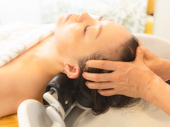 トロワサンク 片瀬山 西鎌倉/IPMヘナトリートメントヘアケア