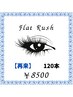 【再来】フラットラッシュ　120本　￥10200→￥8500