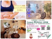 ヨサパーク ミモザ 三軒茶屋店(YOSA PARK Mimosa)