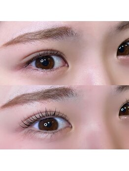 スタッドアイプラス(STUD eye+)/【まつげパーマ】