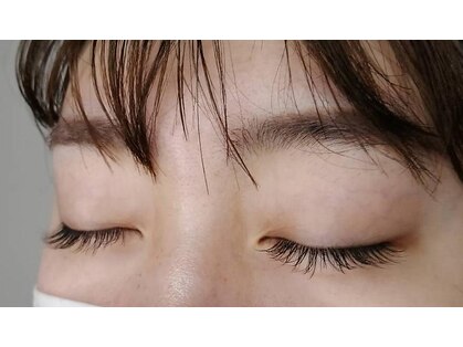 ネモフィリア(Nemophilia)の写真