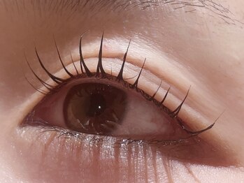 カラン 焼津店(CALIN)/シンプリフィ