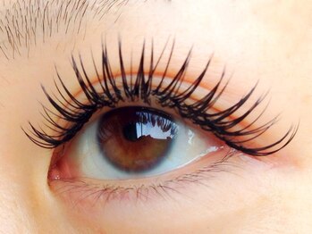 イロドリ/デザイン例