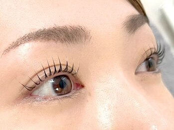 ラヴォール 京橋(Lovall)の写真/パリジェンヌラッシュリフト/まつげパーマならお任せ!!自まつ毛に優しく、丁寧な施術で負担も軽減◎