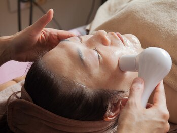 サロンド ベレーゼ/真皮BASICケアコース