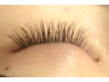 シルフ ブリエ(sylph Briller)/