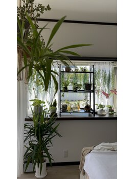 ブルーム(B.LOOM)/リンパマッサージ