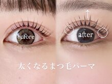 プランドール(prendre)