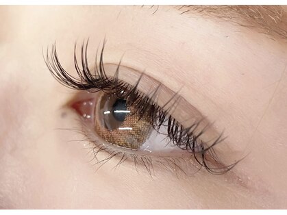 エステラ(ESTELA)の写真