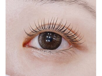 モモ(Momo)/まつ毛パーマ