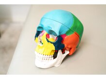 ライフバランスカイロプラクティック 松戸/頭蓋骨矯正