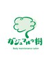 ガジュマルの樹【★会員制度】16500円♪ 2メニュー