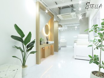 ステラ 恵比寿店(STELLA)/【店内雰囲気】