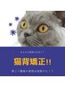 【猫背・姿勢改善したい方限定】猫背矯正整体＋最新姿勢分析付き　