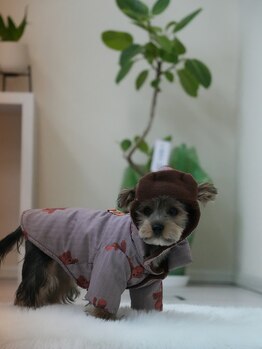 整体院カエデ(整体院KAEDE)/冬仕様ぷー太郎