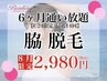 【U24美人割】脇・美容脱毛…U24限定!!6ヶ月通い放題♪最大14回♪