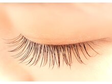 シエル(Ciel)/ダークブラウン　120本