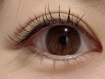 カラン 焼津店(CALIN)/フラットラッシュ100本