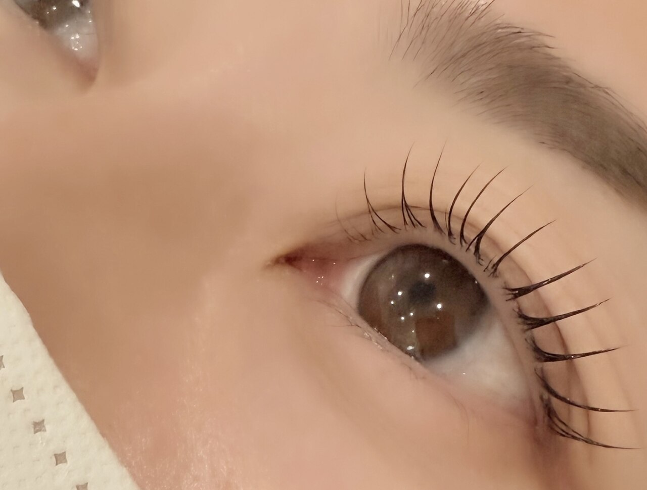 (全)【平日限定】まつげパーマ《トリートメント付》