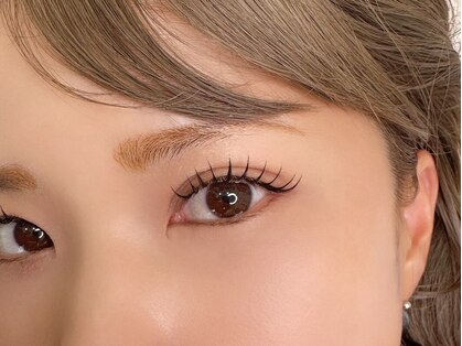 Roots eyelashの写真