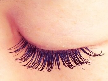 イロドリ/デザイン例