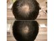 オレオール(aureole)の写真