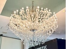 ベルファバイトゥルース ひたち野うしく店(BelleFee by TRUTH)の雰囲気（美容室と同日予約可能（電話予約)）