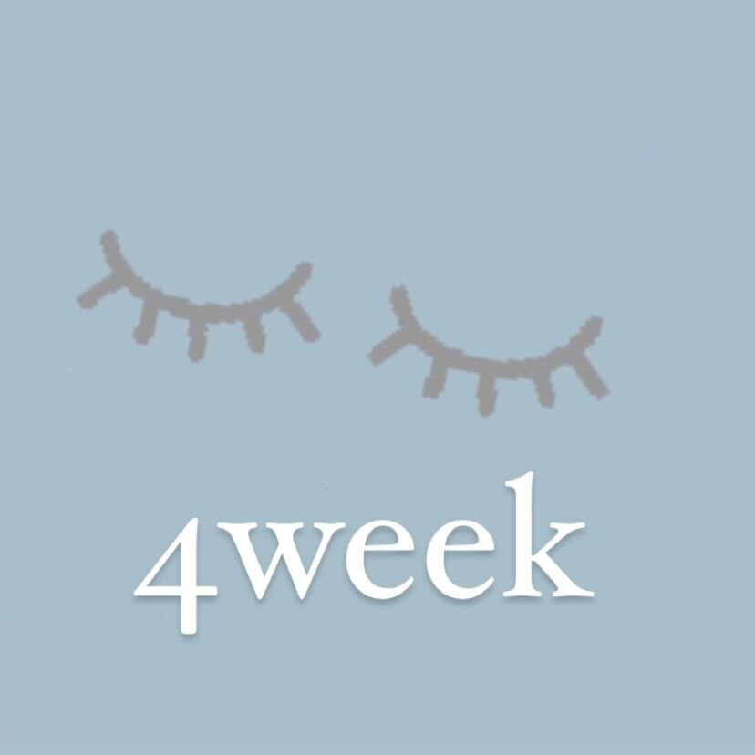 【リペア】4week 