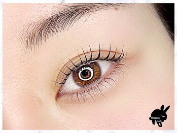 バニーラッシュ(Bunny Lash)/【まつげパーマ】