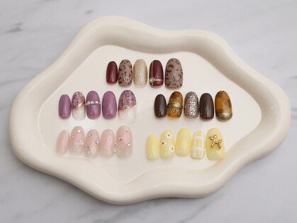 アキレア(achillea)の写真