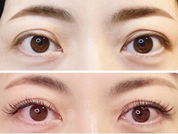 リズ(Liz)/フラットラッシュ140本