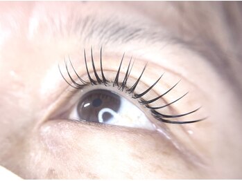 アバンテ シル(Avante_CIL)/シングル120本