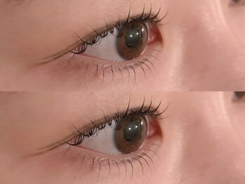 タビーリッタ(tabby litta)/上下まつげパーマ:*+。