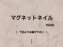 ハラダ(HaRaDa)/マグネットネイル