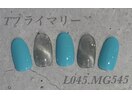ハンド定額プライマリーコース