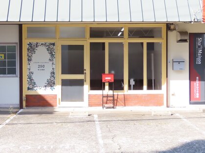 250(ニコマル)の写真