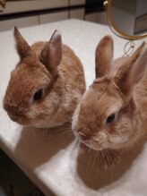 グラントオンボーテ(Grant en beaute)/ツインズ