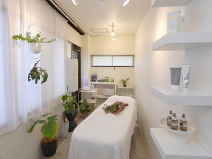 シュリ(Shri)の写真