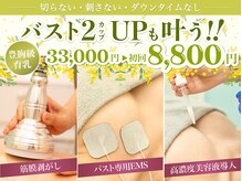 美人バスト 本厚木店