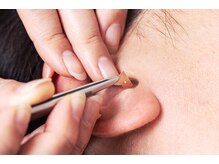 スリムイン うみandりく/耳つぼダイエット