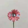 フィーカ(fika)のお店ロゴ