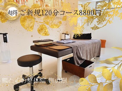 撫の樹の写真